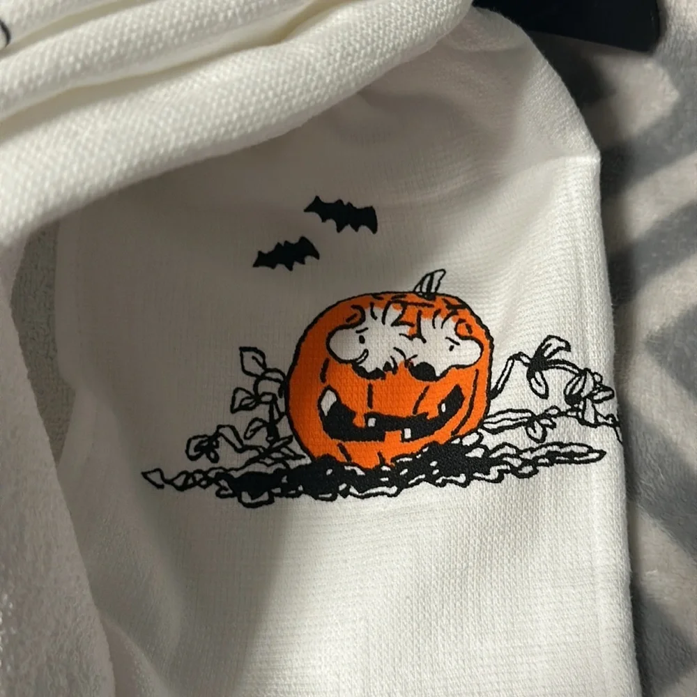 NWT Peanuts and Rae Dunn Snoopy Halloween Kitchen Towels